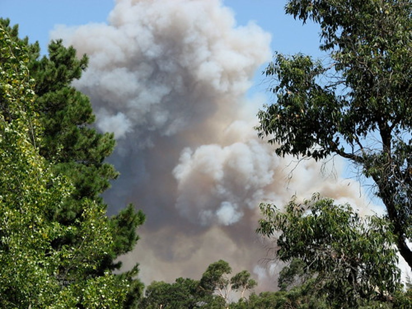<p>a grey, black or white cloud that is produced by something that is burning (khói)</p><p>ex: A column of black smoke slowly rose above the building</p>
