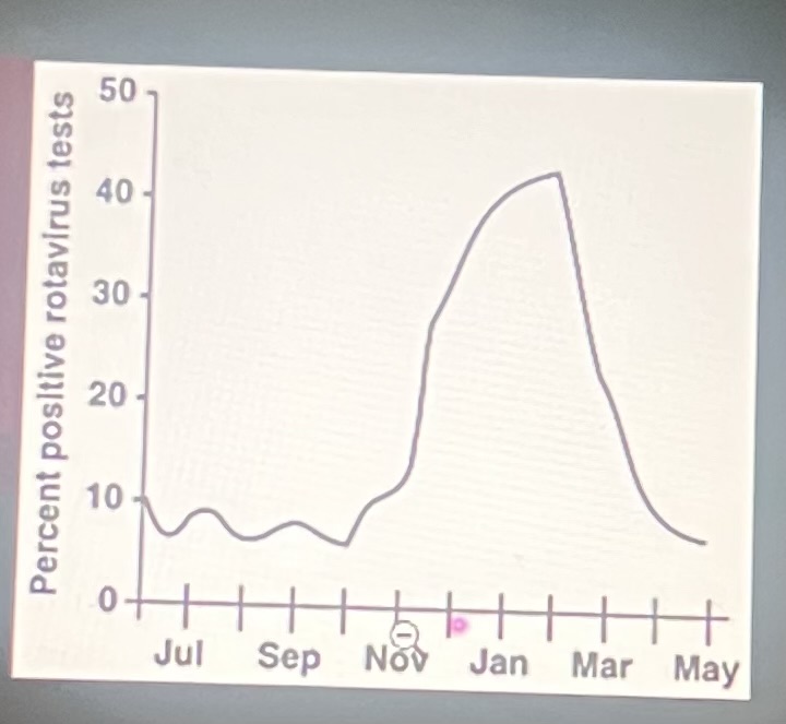 <p>When is the prevalence the highest?</p>