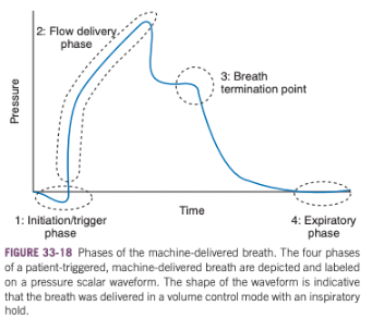 <p>Initiation/trigger phase</p><p>Flow delivery phase</p><p>Breath termination point</p><p>Expiratory pahse</p>