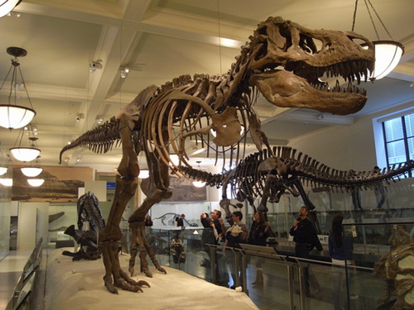 <p>Bảo tàng - はくぶつかん</p>