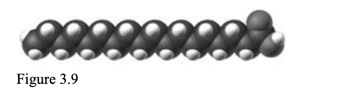 <p><span style="background-color: transparent; font-family: &quot;Times New Roman&quot;, serif;">The molecule in the accompanying figure is ____, and has ____.​</span></p><table style="min-width: 75px;"><colgroup><col style="min-width: 25px;"><col style="min-width: 25px;"><col style="min-width: 25px;"></colgroup><tbody><tr><td colspan="1" rowspan="1" style="vertical-align: top; overflow: hidden; overflow-wrap: break-word;"><p><span style="background-color: transparent;">&nbsp;</span></p></td><td colspan="1" rowspan="1" style="vertical-align: top; padding: 1.5pt 0pt; overflow: hidden; overflow-wrap: break-word;"><p><span style="background-color: transparent; font-family: &quot;Times New Roman&quot;, serif;">a.&nbsp;</span></p></td><td colspan="1" rowspan="1" style="vertical-align: top; padding: 1.5pt 20pt 1.5pt 0pt; overflow: hidden; overflow-wrap: break-word;"><p><span style="background-color: transparent; font-family: &quot;Times New Roman&quot;, serif;">​unsaturated; a carbon-carbon double bond</span></p></td></tr><tr><td colspan="1" rowspan="1" style="vertical-align: top; overflow: hidden; overflow-wrap: break-word;"><p><span style="background-color: transparent;">&nbsp;</span></p></td><td colspan="1" rowspan="1" style="vertical-align: top; padding: 1.5pt 0pt; overflow: hidden; overflow-wrap: break-word;"><p><span style="background-color: transparent; font-family: &quot;Times New Roman&quot;, serif;">b.&nbsp;</span></p></td><td colspan="1" rowspan="1" style="vertical-align: top; padding: 1.5pt 20pt 1.5pt 0pt; overflow: hidden; overflow-wrap: break-word;"><p><span style="background-color: transparent; font-family: &quot;Times New Roman&quot;, serif;">​saturated; a carbon-carbon double bond</span></p></td></tr><tr><td colspan="1" rowspan="1" style="vertical-align: top; overflow: hidden; overflow-wrap: break-word;"><p><span style="background-color: transparent;">&nbsp;</span></p></td><td colspan="1" rowspan="1" style="vertical-align: top; padding: 1.5pt 0pt; overflow: hidden; overflow-wrap: break-word;"><p><span style="background-color: transparent; font-family: &quot;Times New Roman&quot;, serif;">c.&nbsp;</span></p></td><td colspan="1" rowspan="1" style="vertical-align: top; padding: 1.5pt 20pt 1.5pt 0pt; overflow: hidden; overflow-wrap: break-word;"><p><span style="background-color: transparent; font-family: &quot;Times New Roman&quot;, serif;">​unsaturated; no carbon-carbon double bonds</span></p></td></tr><tr><td colspan="1" rowspan="1" style="vertical-align: top; overflow: hidden; overflow-wrap: break-word;"><p><span style="background-color: transparent;">&nbsp;</span></p></td><td colspan="1" rowspan="1" style="vertical-align: top; padding: 1.5pt 0pt; overflow: hidden; overflow-wrap: break-word;"><p><span style="background-color: transparent; font-family: &quot;Times New Roman&quot;, serif;">d.&nbsp;</span></p></td><td colspan="1" rowspan="1" style="vertical-align: top; padding: 1.5pt 20pt 1.5pt 0pt; overflow: hidden; overflow-wrap: break-word;"><p><span style="background-color: transparent; font-family: &quot;Times New Roman&quot;, serif;">​saturated; no carbon-carbon double bonds</span></p></td></tr><tr><td colspan="1" rowspan="1" style="vertical-align: top; overflow: hidden; overflow-wrap: break-word;"><p><span style="background-color: transparent;">&nbsp;</span></p></td><td colspan="1" rowspan="1" style="vertical-align: top; padding: 1.5pt 0pt; overflow: hidden; overflow-wrap: break-word;"><p><span style="background-color: transparent; font-family: &quot;Times New Roman&quot;, serif;">e.&nbsp;</span></p></td><td colspan="1" rowspan="1" style="vertical-align: top; padding: 1.5pt 20pt 1.5pt 0pt; overflow: hidden; overflow-wrap: break-word;"><p><span style="background-color: transparent; font-family: &quot;Times New Roman&quot;, serif;">saturated; a carbon-carbon triple bond​</span></p></td></tr></tbody></table><p></p>