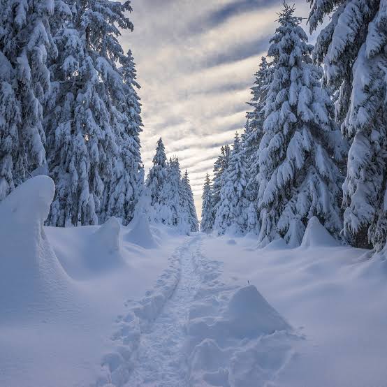 <p>Schnee</p>