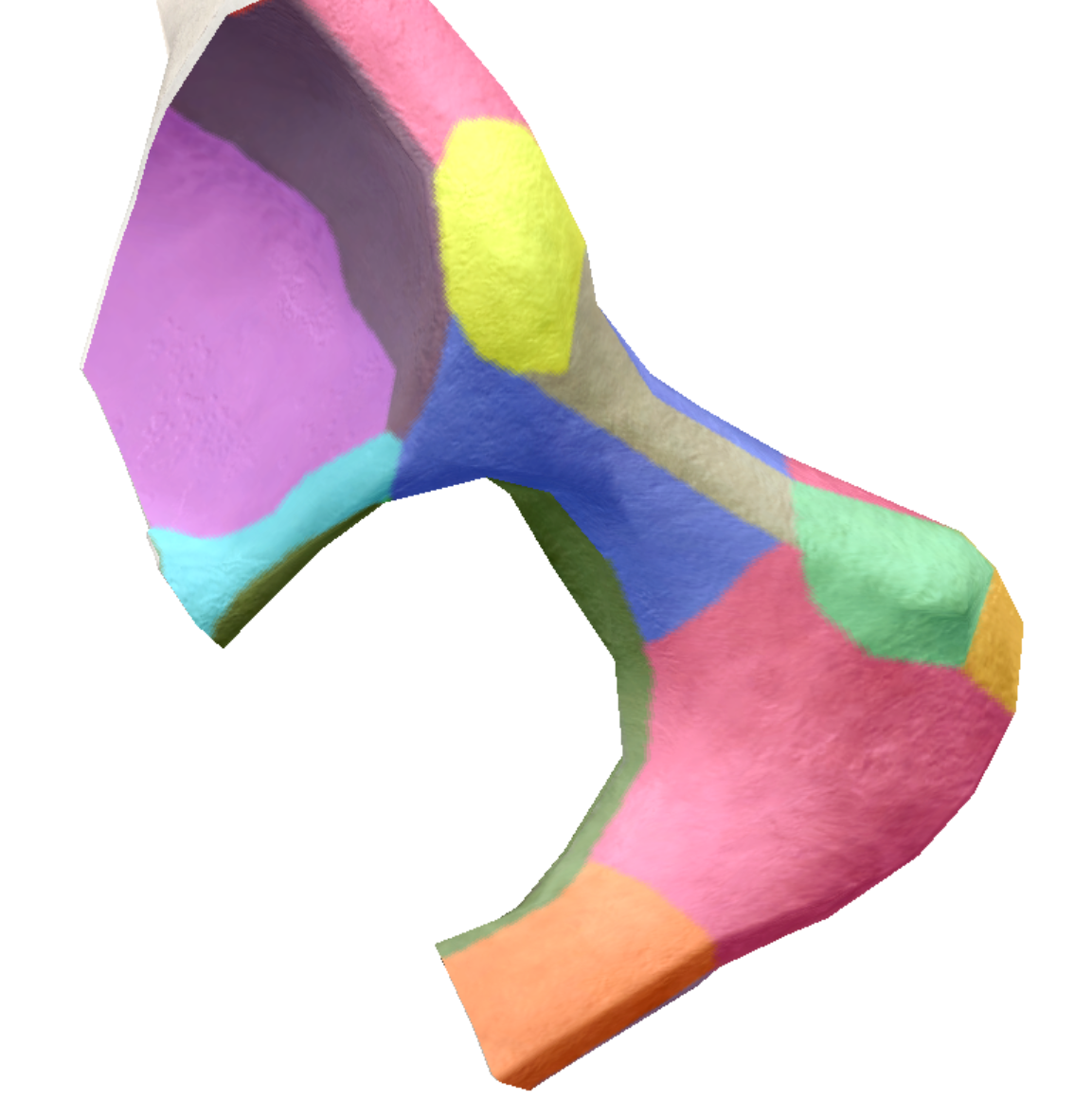 term image