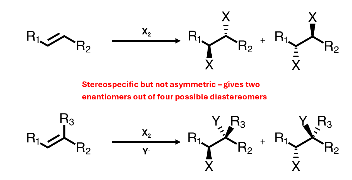 <p>The two groups always add anti to one another</p><ul><li><p>Stereospecific but not asymmetric – gives two enantiomers out of four possible diastereomers</p><p></p></li></ul><p></p>