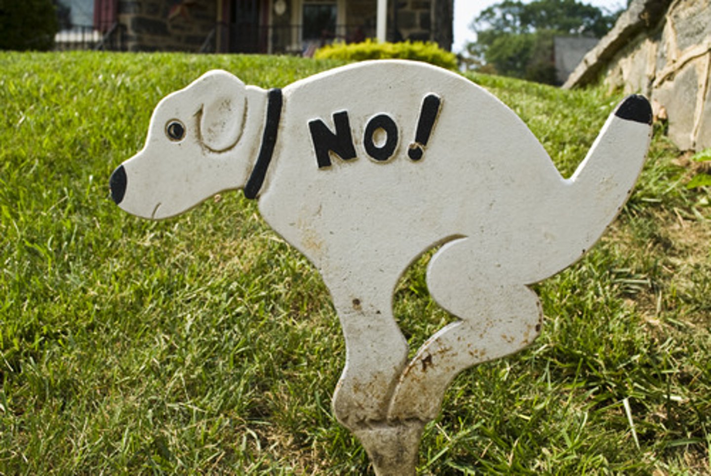 <p>not; no</p>