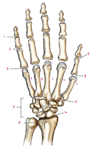 <p>1  </p>
