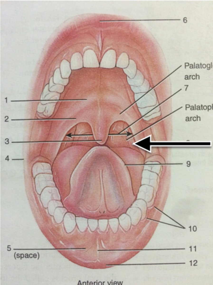 knowt flashcard image