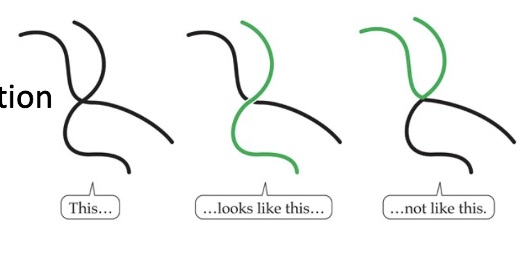 <p>Your visual system assumes that orientation has these smooth contours rather than sudden changes</p><ul><li><p><span>Most natural objects have smooth changes in orientation</span></p></li><li><p><span>Incorporating this knowledge of the environment</span></p></li></ul>