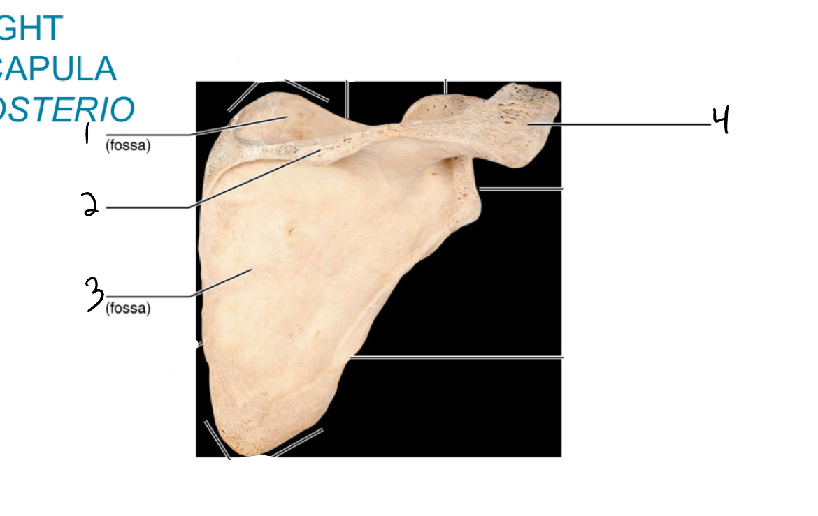 <p>2</p>