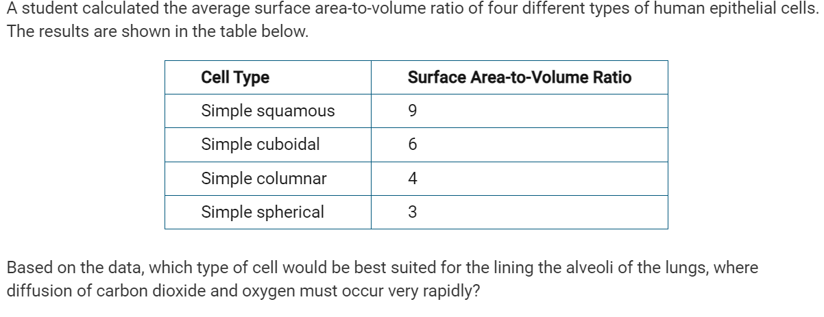 <ul><li><p><strong>A: </strong><span>Simple squamous cells</span></p><p></p></li><li><p><strong>B: </strong><span>Simple cuboidal cells</span></p><p></p></li><li><p><strong>C: </strong><span>Simple columnar cells</span></p><p></p></li><li><p><strong>D: </strong><span>Simple spherical cells</span></p></li></ul><p></p>