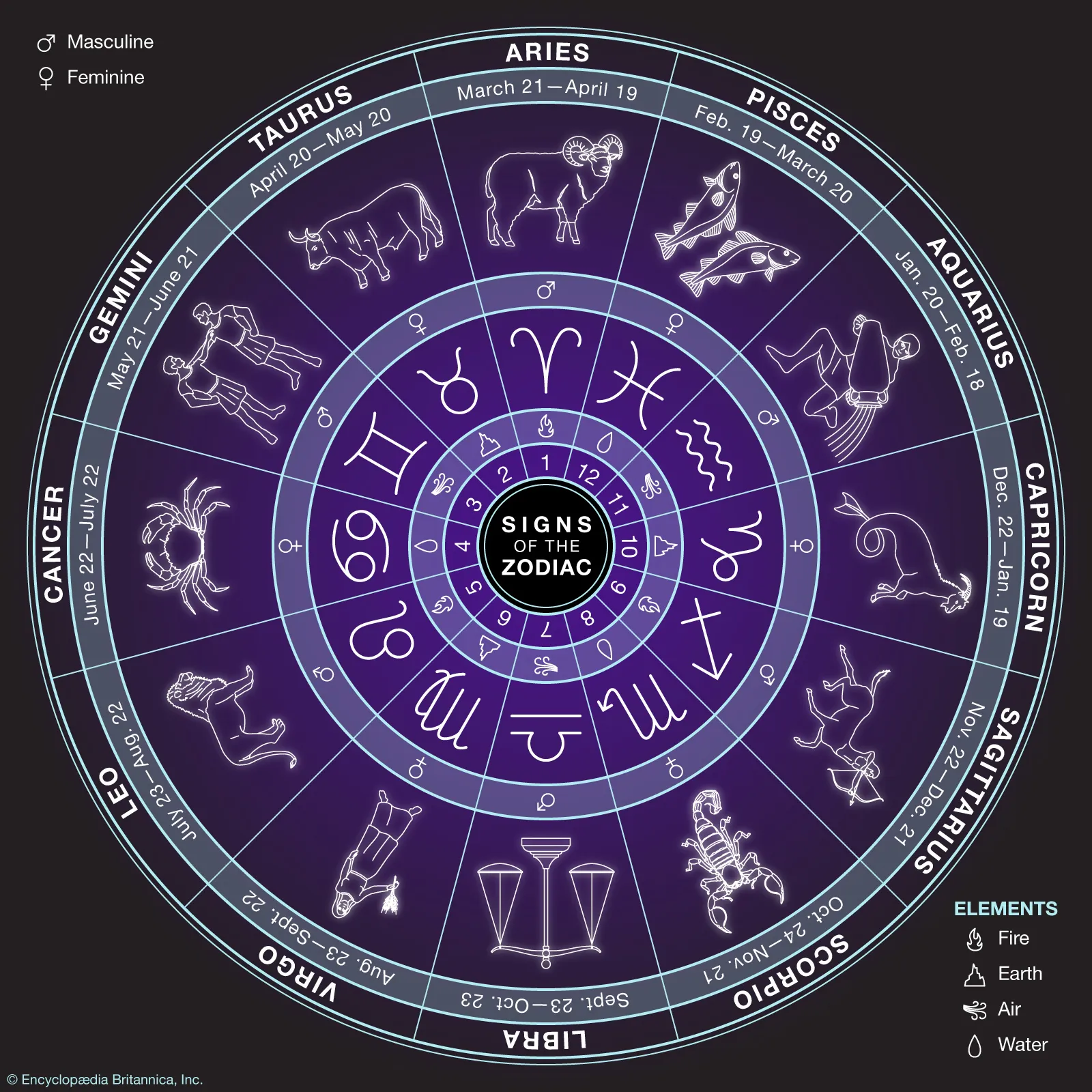 <p>12 Signs of the Zodiac </p>