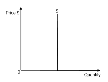 <p>Perfectly inelastic supply. No matter how high price goes supply will not change.</p>