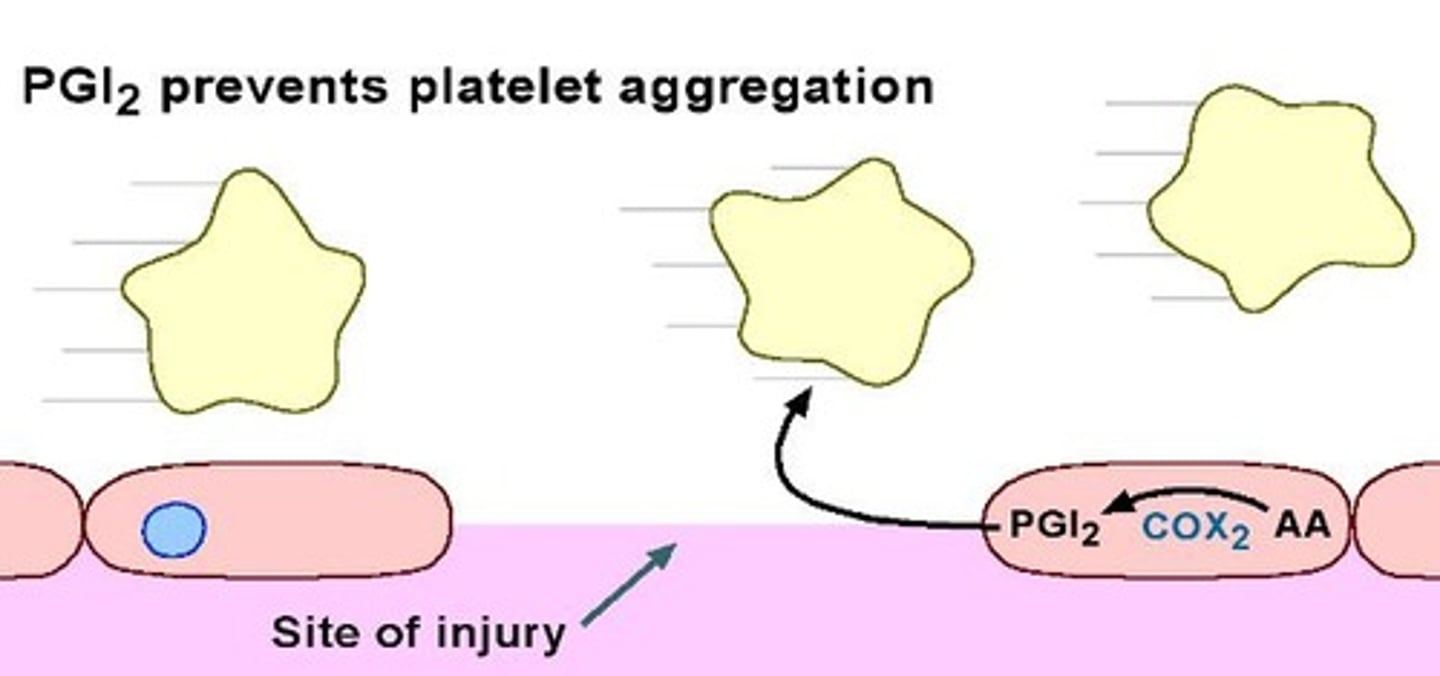 <p>Prostaglandin I2 that acts on the hypothalamus to cause fever.</p>