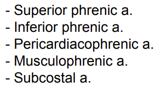 <p>Superior Phrenic Artery</p><p>Inferior Phrenic Artery</p><p>Pericardiophrenic Artery</p><p>Musculophrenic Artery</p><p>Subcostal Artery</p>