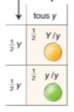 <p>1:1</p>