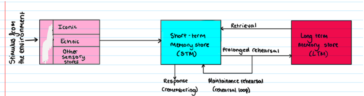 <p><strong>Multi Store Model</strong></p><p>What is missing?</p>