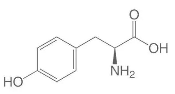 <p>what molecule is this?</p>