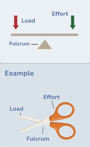 <p>what class lever is this </p>