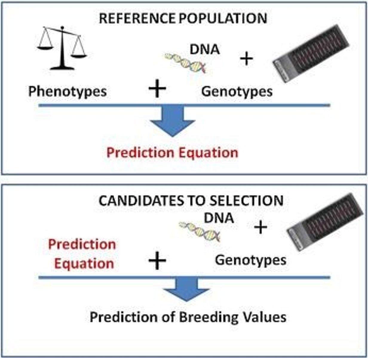 <p>By measuring the proportion of an individual's DNA inherited from recent common ancestors.</p>
