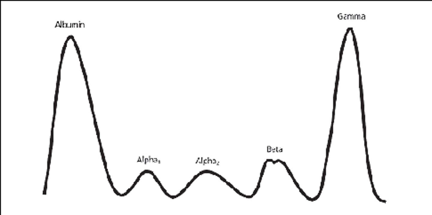 <p>a change involving a sharp increase and fall</p>