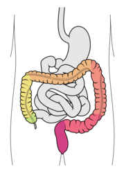 <p>Function?</p>