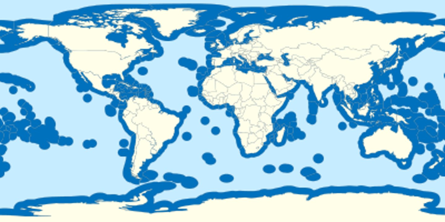 <p>EEZ</p><p>- 200 nautical miles from a nation's coastline</p>
