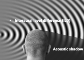 <p>An area where sound is blocked due to the head, resulting in lower sound intensity.</p>