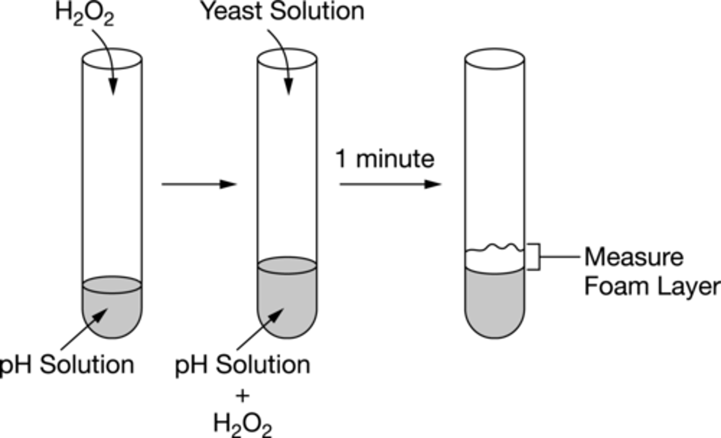<p>pH 4 buffer solution and hydrogen peroxide only</p>