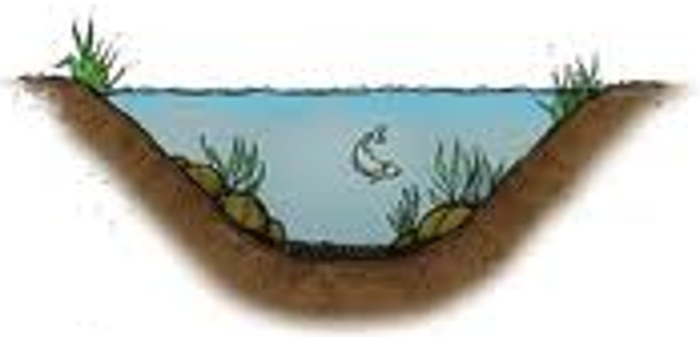 <p>Lakes with moderate levels of productivity</p>