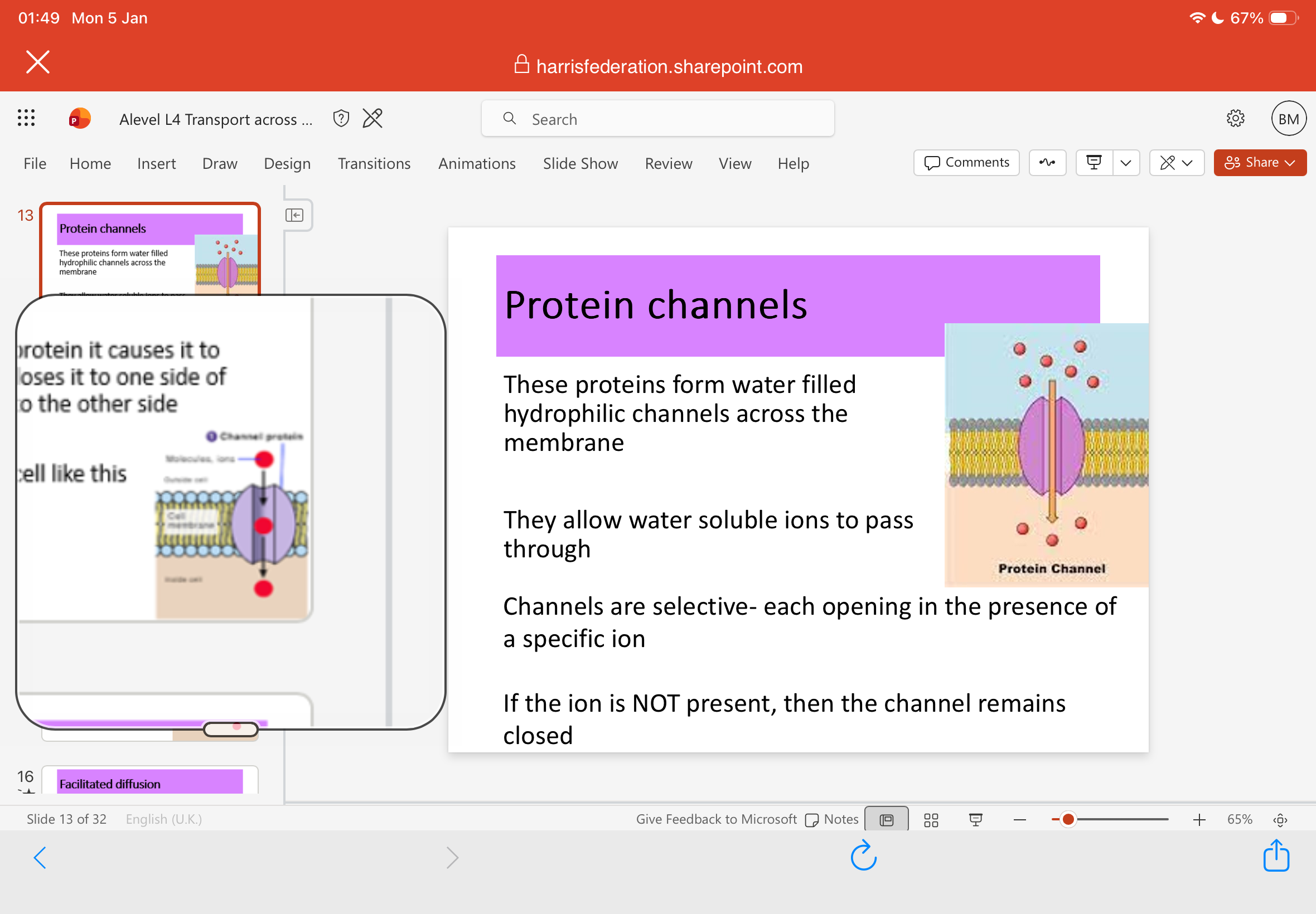 <p>1.Which 2 types of proteins are involved in facilitated diffusion?</p><p class="has-focus">Protein channels:</p><p class="has-focus is-empty">These proteins form …2? filled hydrophilic channels across the membrane</p><p class="has-focus is-empty">They allow …3? soluble ions to pass through</p><p class="has-focus is-empty">Channels are selective- each opening in the presence of a specific …4?</p><p class="has-focus is-empty">If the ion is NOT present, then the channel remains ..5?</p><p class="is-empty has-focus">6.How do protein channels control the entry and exit of ions? Why would Na+ ions be able to move in a cell like this?</p><p class="has-focus"></p><p class="has-focus is-empty">Carrier proteins:</p><p class="has-focus">Carrier proteins span the …7? membrane</p><p class="has-focus is-empty">When a molecule, such as glucose, which is specific to the protein present binds to it, it changes …8?, allowing the molecule to be released into the cell.</p><p class="is-empty has-focus">9.Why would glucose ions be able to move into a cell like this?</p><p class="has-focus"></p>