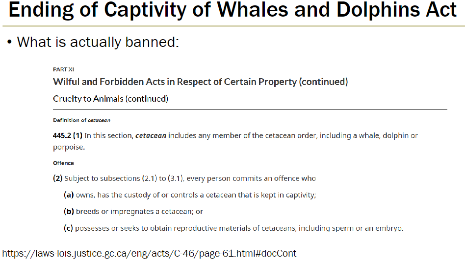<p><strong>Definition</strong><br> Cetacean = any member of the cetacean order, including whales, dolphins, or porpoises</p><p><strong>Offences (Section 445.2)</strong><br> It is an offence for any person to:<br>  Own, have custody of, or control a cetacean kept in captivity<br>  Breed or impregnate a cetacean<br>  Possess or attempt to obtain reproductive materials of cetaceans, including sperm or embryos</p>