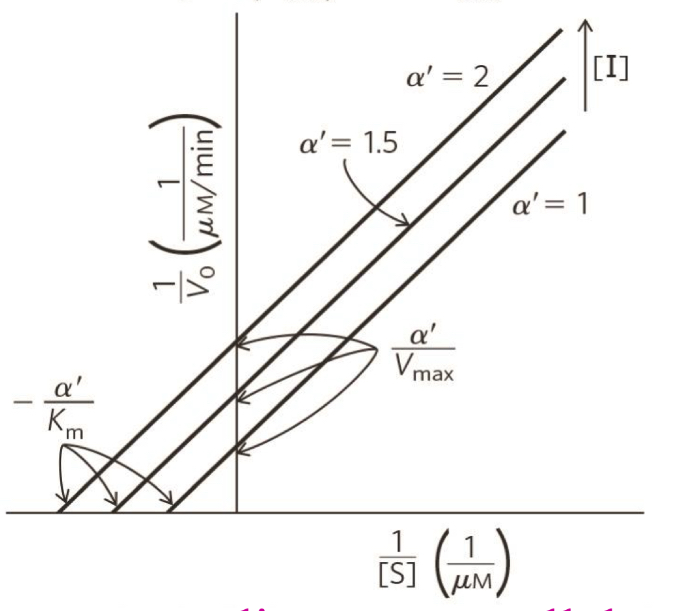 <p>what type of inhibition is this?</p>