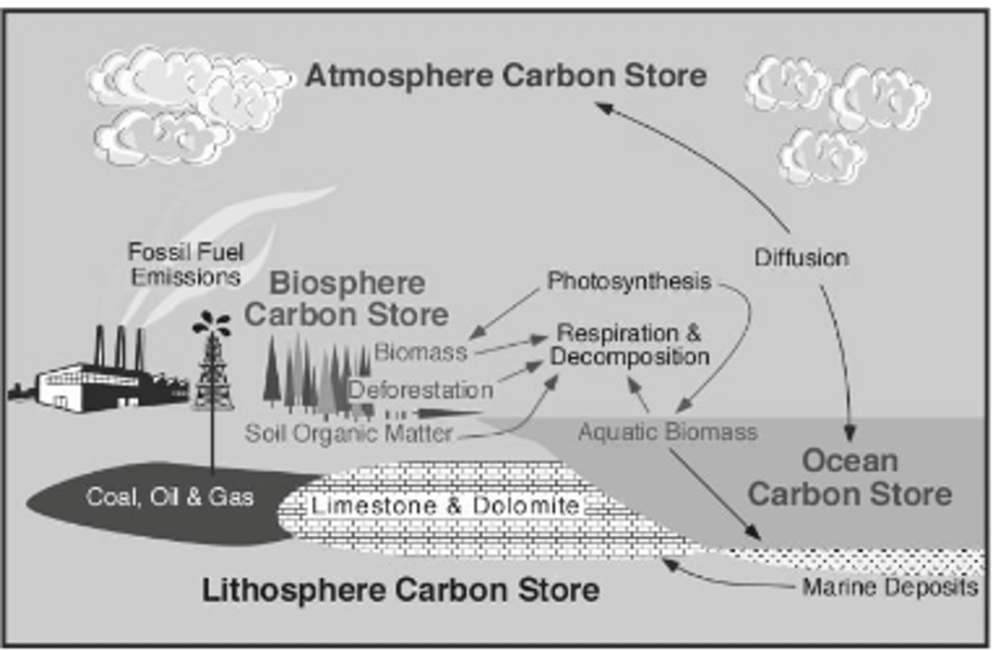 <p>... crust and upper section of the mantle<br>... uppermost part reacts with the hydrosphere, biosphere, and atmosphere to form soil <br><br>(also called the pedosphere)<br><br>Carbon is stored as...<br>· marine sediments and sedimentary rocks (100 million GtC)<br>· soil organic content (1500 GtC)<br>· fossil fuels (4100 GtC)<br>· peat (250 GtC)</p>