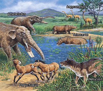 <p>“Age of Mammals and Flowering plants”</p><p><span>They became the dominant life form</span></p><p class="s62"><span>•Two main sub-divisions</span></p><p class="s63"><span>–Tertiary</span></p><p class="s63"><span>–Quaternary</span></p><p class="s62"><span>•Most of the Cenozoic is the Tertiary, from 65 m.y.a to 1.8 m.y.a.</span></p><p class="s63"><span>–Last major ice age</span></p><p class="s62"><span>•The Quaternary includes only the last 1.8 million years.</span></p><p class="s63"><span>–Pangea breaks apart</span></p>