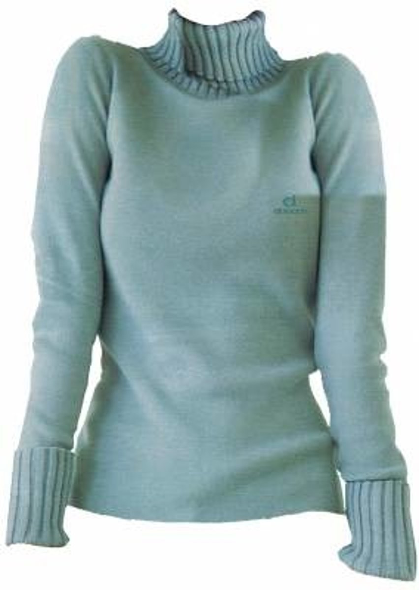 <p>een pull met rolkraag</p>