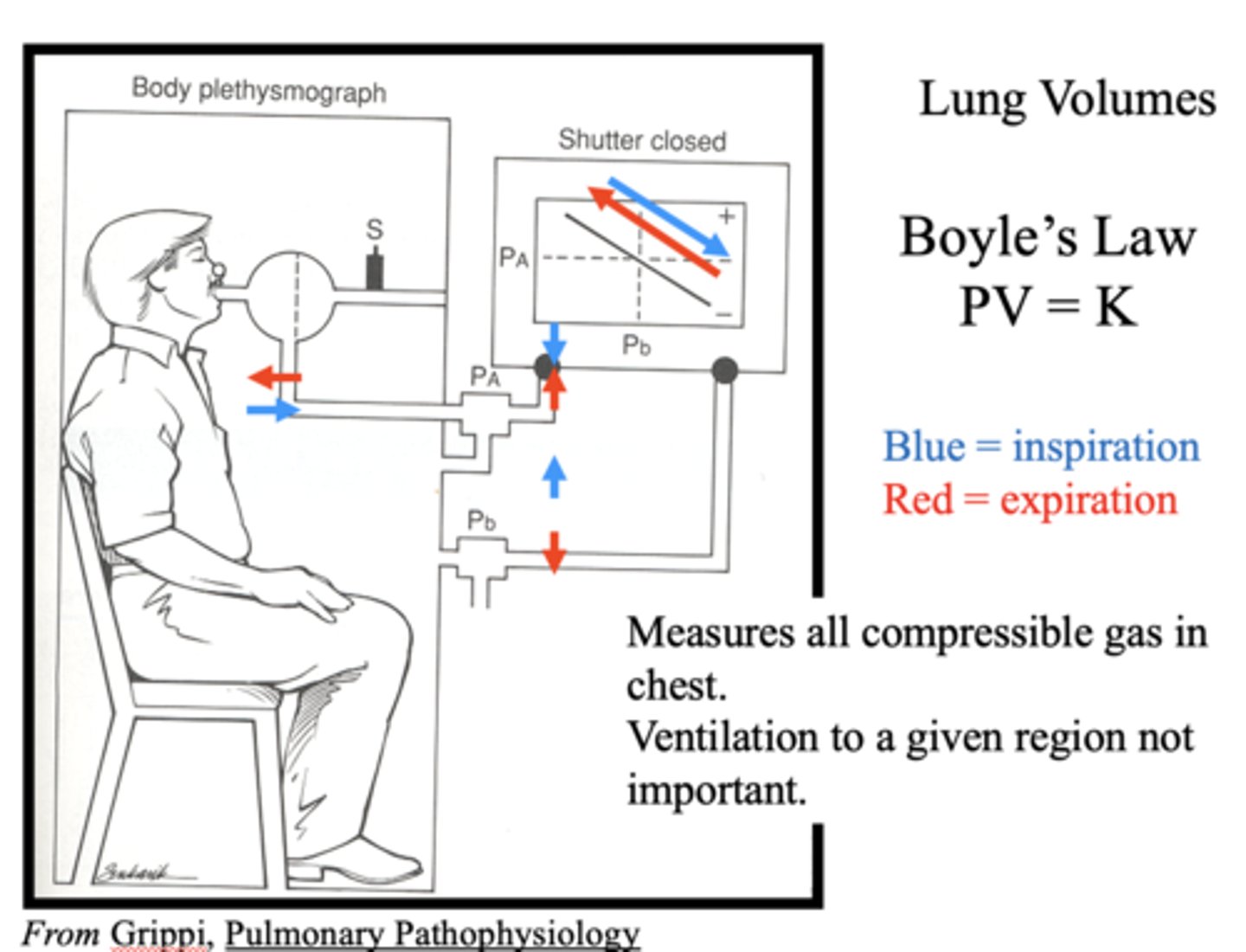 <p>Boyle's Law</p>