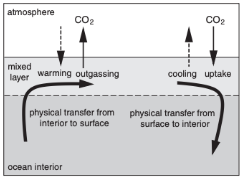<p>What is the Solubility Pump and how much CO2 does it account for in the ocean?</p>