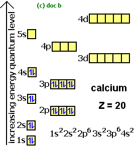 <p>Each orbital can only have two electrons. To fill, they need to have opposite spin.</p>