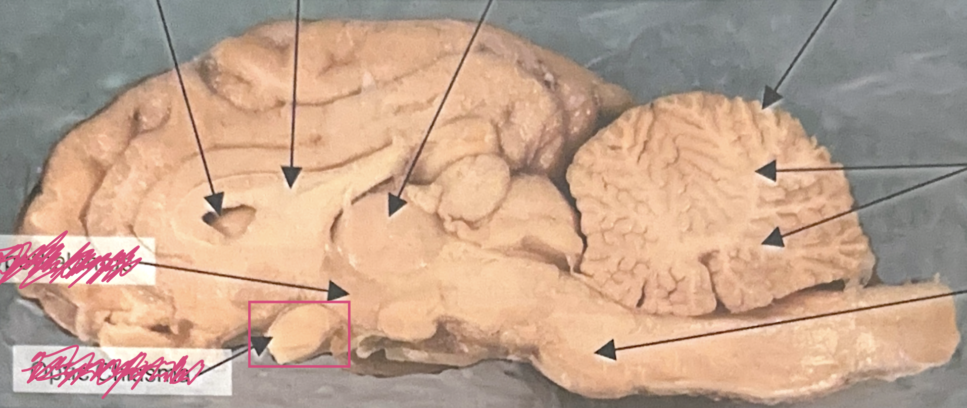 <p>What is this highlighted figure?</p>