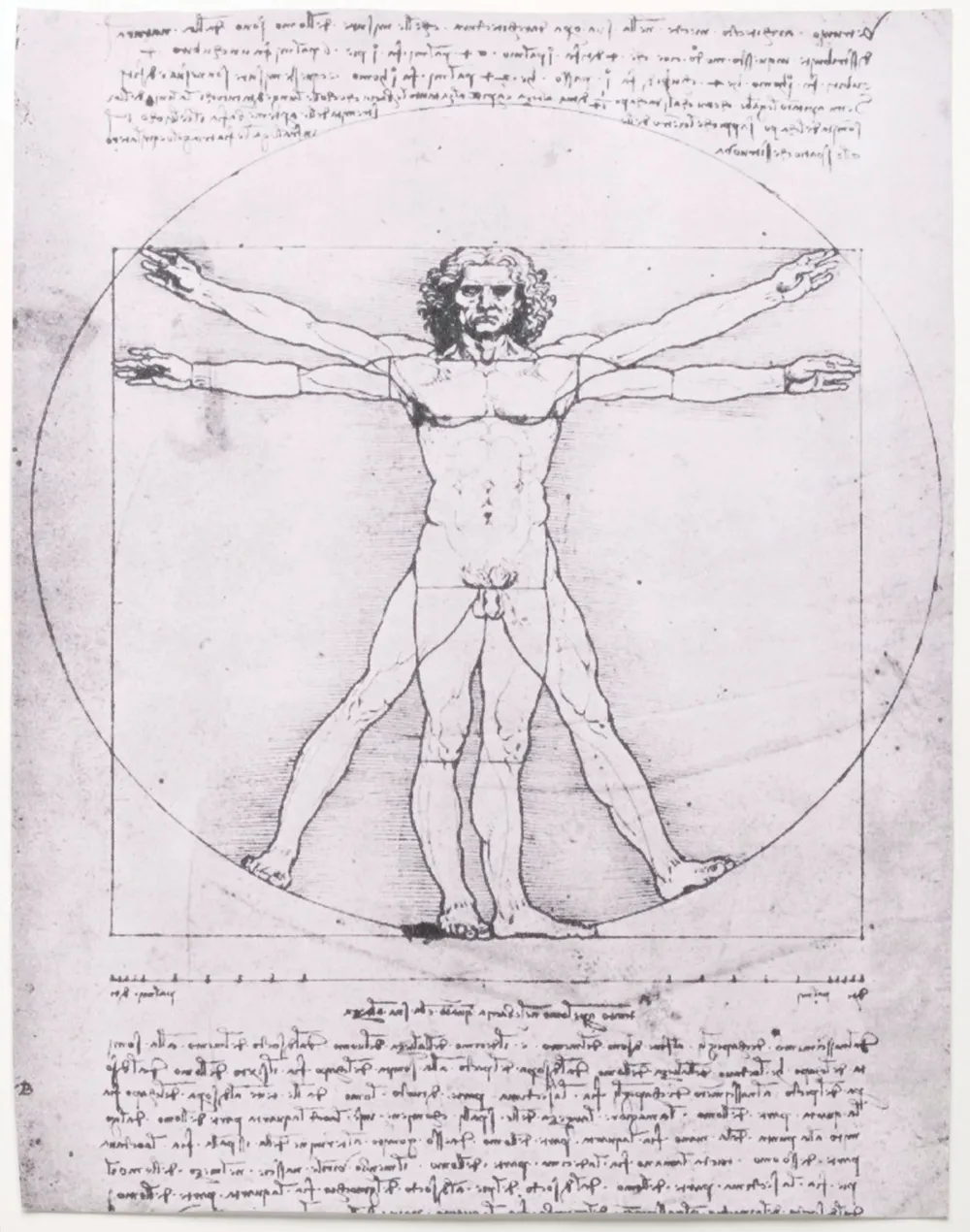 <p>Leonardo da Vinci </p>