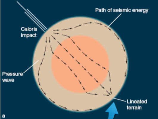 <p>Mercury’s largest basin (<span><span>1550km in diameter with concentric mountain rings up to 3km high)</span></span></p><p><span><span>located at one of the two “hot poles” that face the Sun at alternate perihelia</span></span></p><p><span><span>the impact that produced Caloris created peculiar terrain that lies opposite of the Caloris impact</span></span></p>