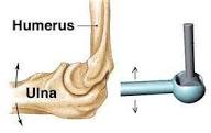 <p>what joint is this?</p>