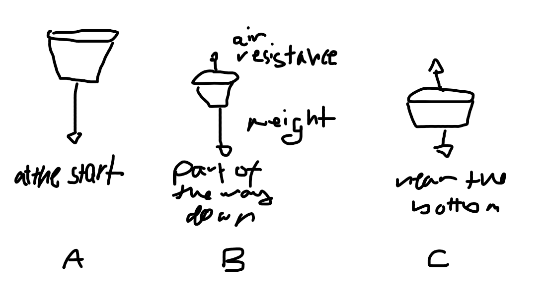 <p>let’s say we are using cupcake cases. at first, the only force exerted on the case is its weight (diagram A) → freefall. as the case’s velocity increases, the air resistance against it increases too (B). this continues until the air resistance is equal to the case’s weight, so the case is travelling at a constant speed because there is no net force, which is the terminal velocity (C)</p>