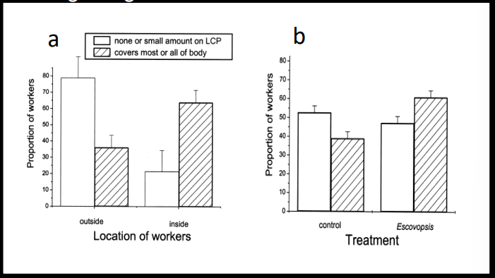 <p>Explain this graph</p>