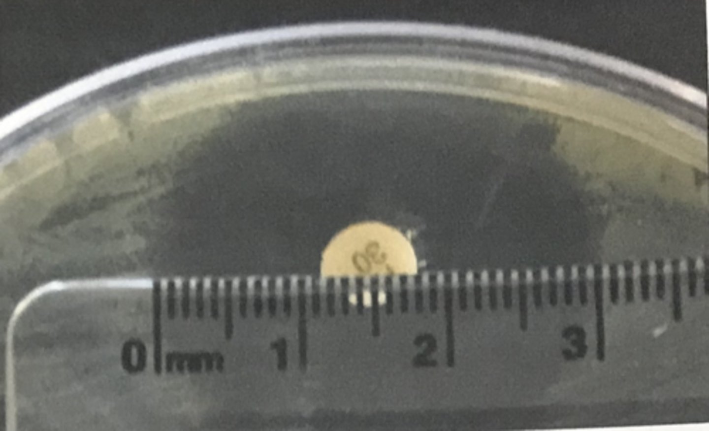 <p>DISK DIFFUSION (KIRBY-BAUER) METHOD</p><p>The zone diameter below which all resistant strains fall is the _____ breakpoint. The zone diameter above which all susceptible strains fall is the ____ breakpoint.</p>