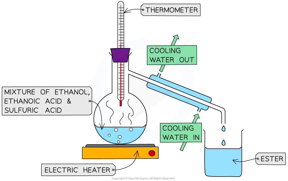 <ol><li><p>A mixture of ethanol, ethanoic acid and concentrated sulfuric acid is heated by a water bath or a electric heater</p></li><li><p>As esters are volatile, meaning they have low boiling points, they will evaporate first from the mixture</p></li><li><p>It is then distilled and collected in a separate beaker by condensation through a cooling jacket</p></li><li><p>The distillate can be smelt to check whether an ester has been produced</p></li></ol><p></p>