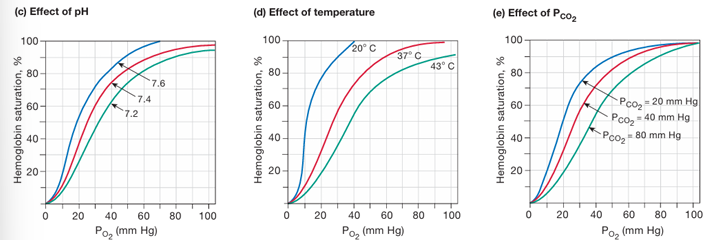 <ul><li><p>decrease in pH</p></li><li><p>increased temperature</p></li><li><p>increased PCO2</p></li></ul><p></p>