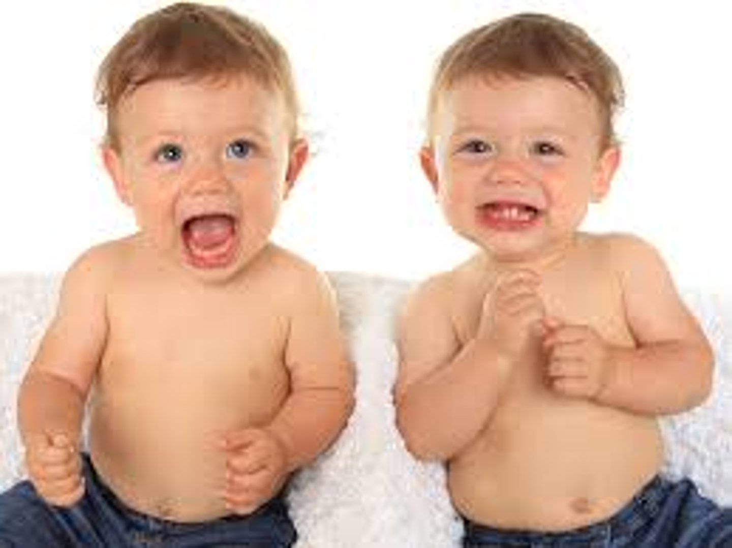 <p>the twin</p>