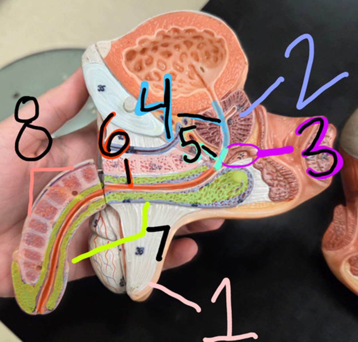 <p>1?</p>