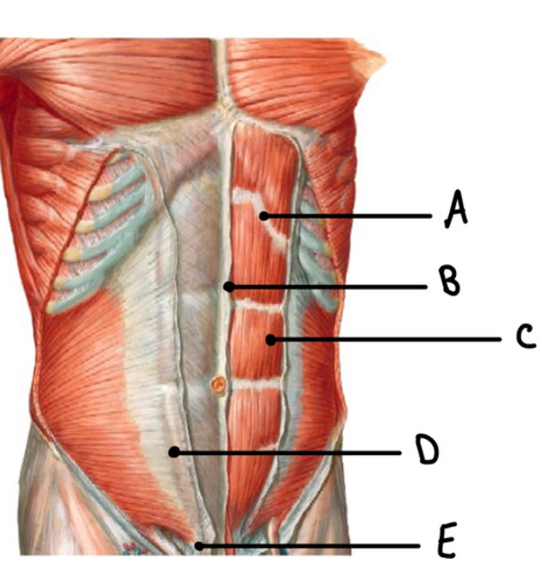 <p>What is D?</p>